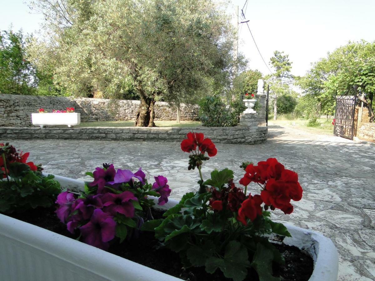 Apartments Villa Maran Umag Ngoại thất bức ảnh
